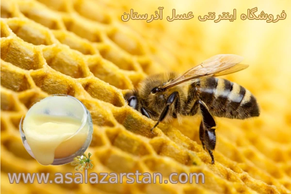 ژل رویال چیست؟