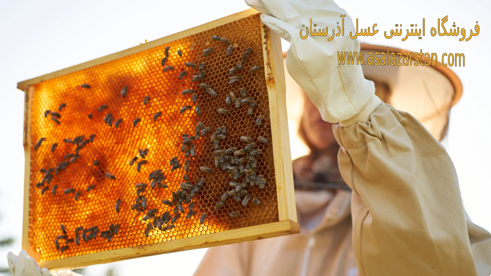 عسل آویشن چیست؟