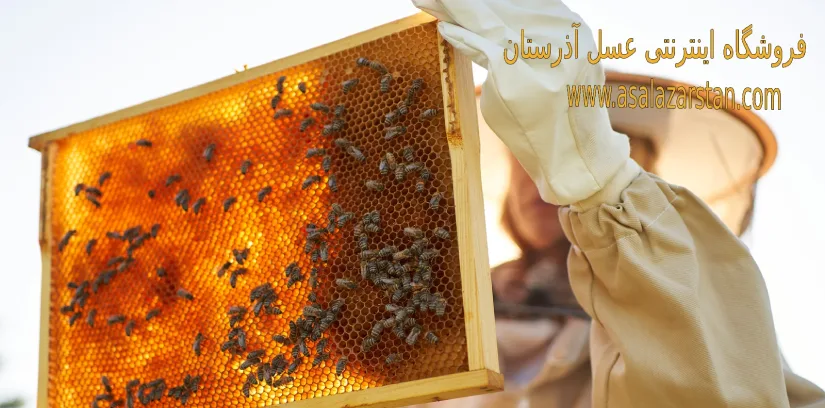 عسل کوهستان 1000 گرمی