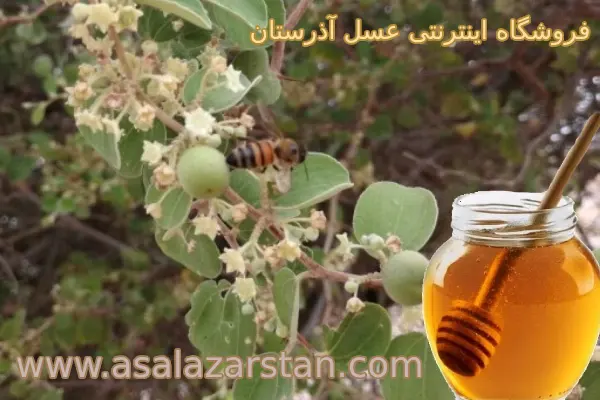 فروش عسل خالص در کرج