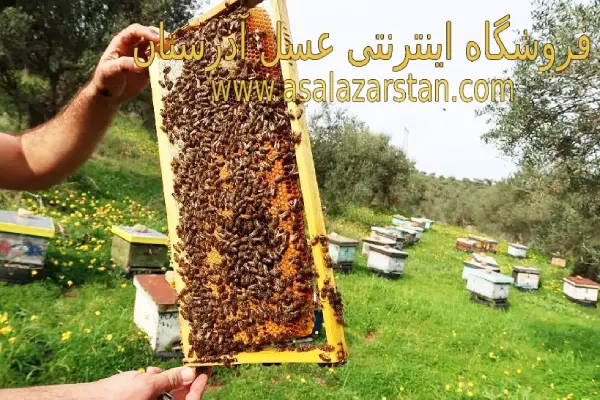 فروش عسل طبیعی در کرج