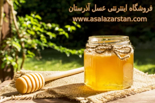 راهنمای خرید عسل گون