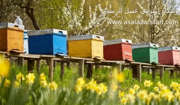 قیمت عسل طبیعی