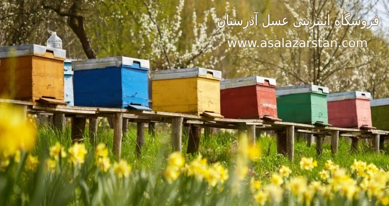 قیمت عسل طبیعی