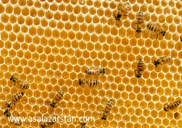 قیمت پرولین عسل