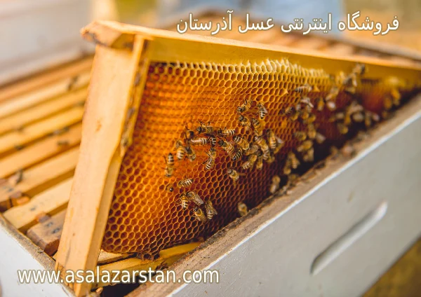 خواص پرولین عسل