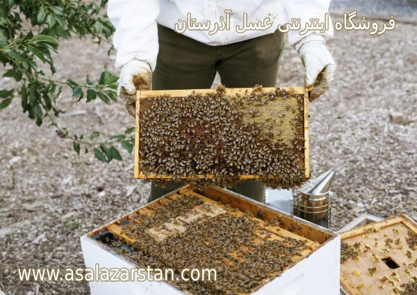 اندازه پرولین عسل