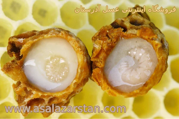 تولید ژل رویال از کندو