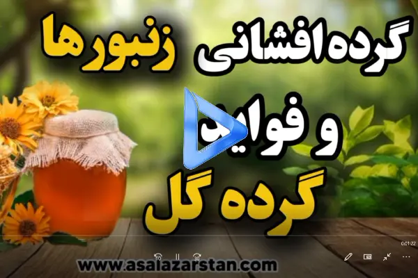 گرده افشانی زنبورها