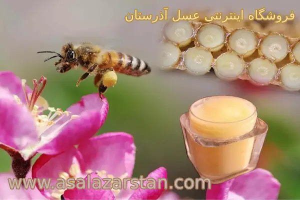 اصلی ترین خواص ژل رویال برای پوست